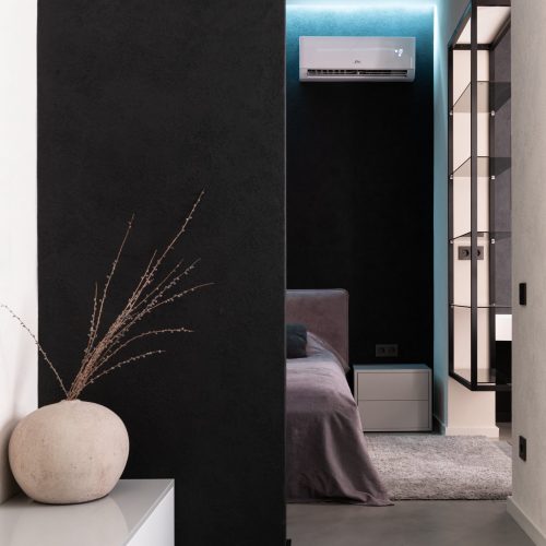 pexels-max-rahubovskiy-6316066